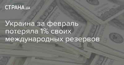 Украина за февраль потеряла 1% своих международных резервов - strana.ua