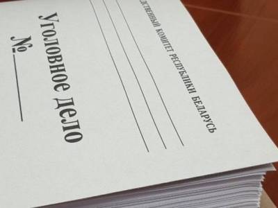В Беларуси открыли дело против правозащитного центра "Весна": за что - unn.com.ua - Киев