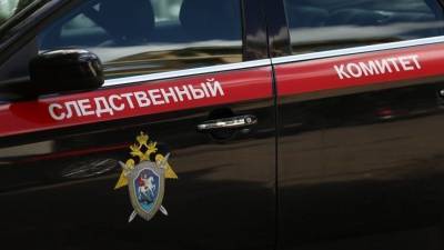 Александр Бастрыкин - Бастрыкин озвучил итоги работы СКР в условиях пандемии коронавируса - 5-tv.ru - Следственный Комитет