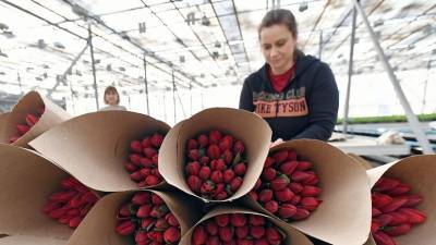 Россиянки назвали самые популярные подарки от работодателей на 8 Марта - russian.rt.com - Краснодар