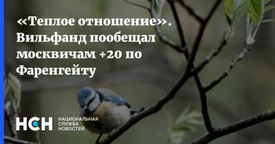 Роман Вильфанд - «Теплое отношение». Вильфанд пообещал москвичам +20 по Фаренгейту - nsn.fm - Москва