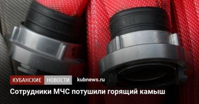 Сотрудники МЧС потушили горящий камыш - kubnews.ru - Краснодарский край