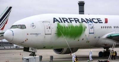 Активисты Greenpeace раскрасили французский самолет в зеленый цвет, – видео - bykvu.com
