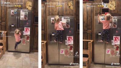 Ребенок ловко залез на холодильник за спрятанными сладостями: смешное видео - 24tv.ua