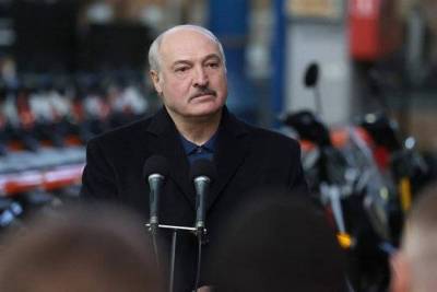 Александр Лукашенко - Лукашенко рассказал о своих миллиардах и дворцах - versia.ru