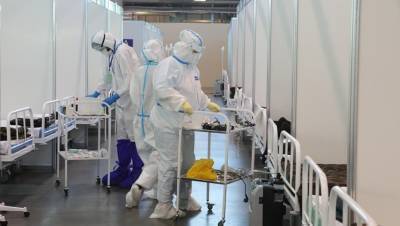 В Смольном раскрыли число пациентов на ИВЛ в Петербурге - dp.ru - Санкт-Петербург
