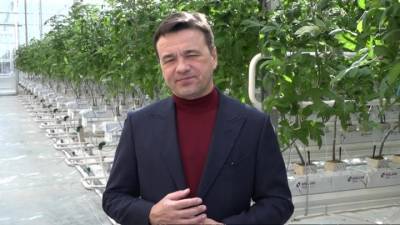 Андрей Воробьев - Губернатор Подмосковья рассказал, как праздновать Масленицу и 8 Марта - vesti.ru - Московская обл.
