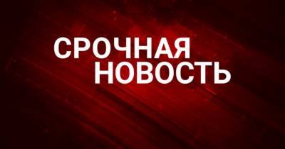 Савик Шустер - Михеил Саакашвили - Саакашвили принес крысу в клетке на эфир “Свободы слова Савика Шустера” (видео) - cryptos.tv - Украина - Грузия