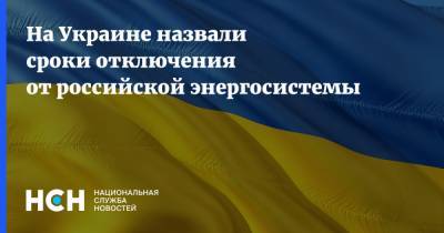 Юрий Витренко - На Украине назвали сроки отключения от российской энергосистемы - nsn.fm - Украина - Литва
