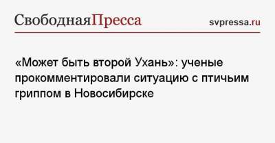 Михаил Мишустин - «Может быть второй Ухань»: ученые прокомментировали ситуацию с птичьим гриппом в Новосибирске - svpressa.ru - Новосибирск - Ухань