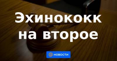 Алексей Куринный - Эхинококк на второе - news.mail.ru - Ульяновск