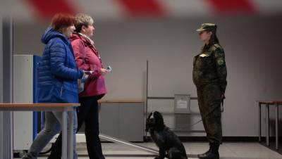 В Петербурге бомбу искали полсотни полицейских на 15 объектах - dp.ru - Ленинградская обл. - Санкт-Петербург