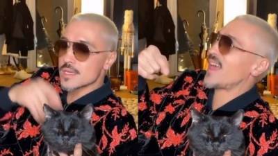 Дмитрий Билан - Филипп Киркоров - Наталья Гордиенко - Дима Билан рассказал, что его кот болеет спидом - eadaily.com - Москва