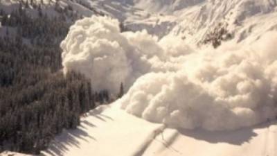 Сход снежной лавины на Камчатке унес жизнь мужчины - inforeactor.ru - Камчатский край - Елизово