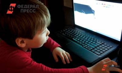 Олег Смолин - Депутат Госдумы предлагает ввести еще одну выплату на детей - fedpress.ru - Москва