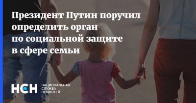 Владимир Путин - Президент Путин поручил определить орган по социальной защите в сфере семьи - nsn.fm