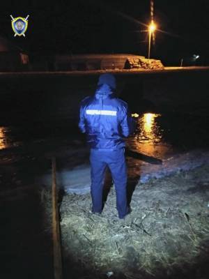 В Столинском районе провалился под лед и утонул семилетний мальчик - naviny.by - район Столинский