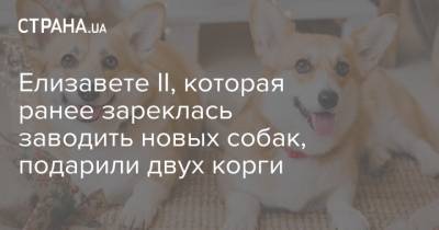 Елизавета II - принц Гарри - принц Филипп - Елизавете II, которая ранее зареклась заводить новых собак, подарили двух корги - strana.ua - Англия