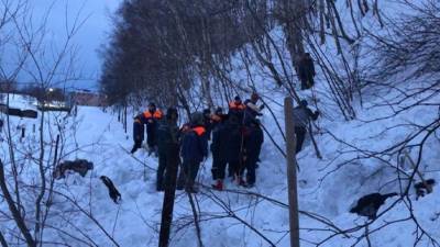 Мужчина погиб при сходе лавины рядом со школой на Камчатке - 5-tv.ru - Камчатский край - Елизово