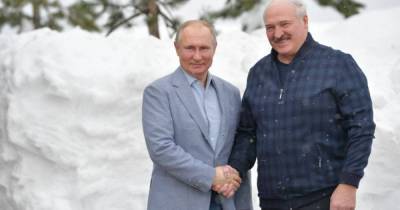 Владимир Путин - Александр Лукашенко - Джо Байден - Лукашенко, Путин или Байден: кто из иностранных лидеров пользуется самым большим доверием украинцев - tsn.ua - Киев