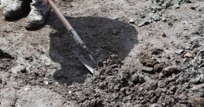На проспекте Победы на участке земли нашли мышьяк, стронций и нефтепродукты - klops.ru - Калининградская обл.