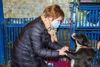 Елена Сорокина - Елена Сорокина посетила приют для бездомных животных - rzn.mk.ru - Рязань