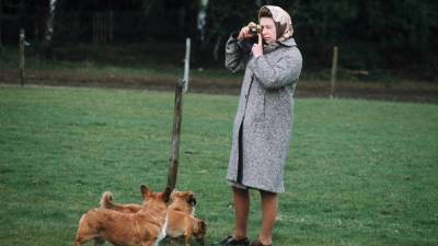 Елизавета II - принц Филипп - Ii (Ii) - Елизавете II подарили двух щенков корги - skuke.net - Новости
