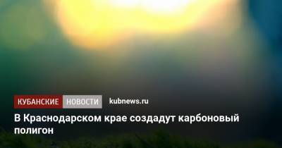 В Краснодарском крае создадут карбоновый полигон - kubnews.ru - Краснодарский край - Тюменская обл. - респ. Чечня - Свердловская обл. - Новосибирская обл. - Калининградская обл. - Сахалинская обл.