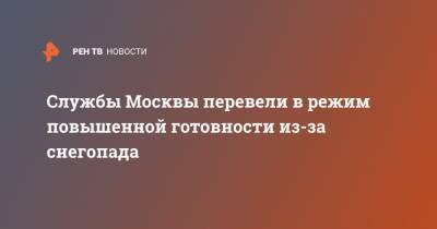 Службы Москвы перевели в режим повышенной готовности из-за снегопада - ren.tv - Москва - Петр Бирюков