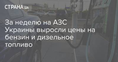 За неделю на АЗС Украины выросли цены на бензин и дизельное топливо - strana.ua