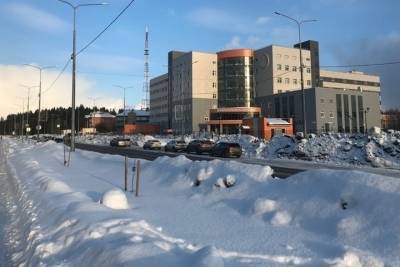 ТехРент выкопал из-под снежных завалов молодые ясени на Древлянке - karel.mk.ru - Петрозаводск - республика Карелия