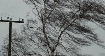Завтра в Луганске сильный ветер. Объявили штормовое предупреждение - cxid.info - Луганск
