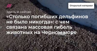 Столько погибших дельфинов не было никогда: с чем связана массовая гибель животных на Черном море - skuke.net