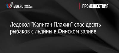 Ледокол «Капитан Плахин» спас десять рыбаков с льдины в Финском заливе - ivbg.ru - Ленинградская обл. - Санкт-Петербург - Усть-Луга