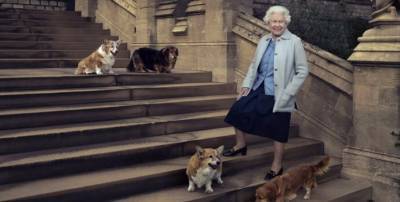 Елизавета Великобритании - принц Филипп - Королеве Великобритании подарили двух щенков корги - inform-ua.info