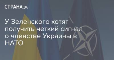 Андрей Ермак - Юлия Свириденко - У Зеленского хотят получить четкий сигнал о членстве Украины в НАТО - strana.ua