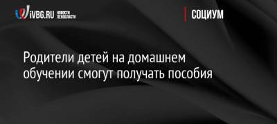 Олег Смолин - Родители детей на домашнем обучении смогут получать пособия - ivbg.ru