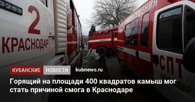 Горящий на площади 400 квадратов камыш мог стать причиной смога в Краснодаре - kubnews.ru - Краснодарский край - Краснодар