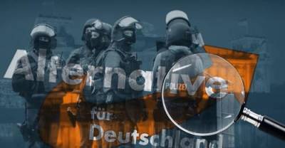 Спецслужбы подозревают в экстремизме партию «Альтернатива для Германии» - argumenti.ru