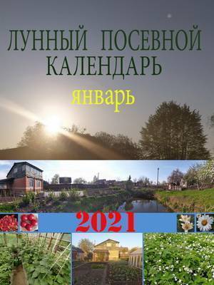 Лунный посевной календарь на 2021 год январь - skuke.net
