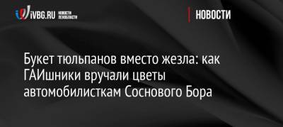 Букет тюльпанов вместо жезла: как ГАИшники вручали цветы автомобилисткам Соснового Бора - ivbg.ru - Ленинградская обл. - Санкт-Петербург - район Ломоносовский