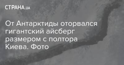 От Антарктиды оторвался гигантский айсберг размером с полтора Киева. Фото - strana.ua - Киев - Антарктида