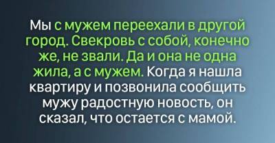 Муж в последний момент отказался переезжать и остался со свекровью, не знаю, как справиться с переживаниями - skuke.net