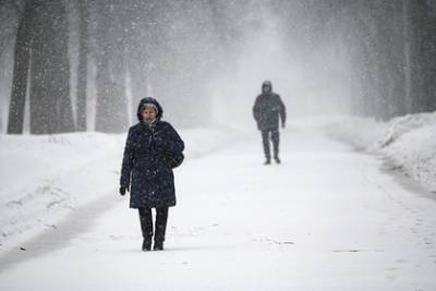 Роман Вильфанд - Москвичей предупредили о сильном снегопаде - lenta.ru - Москва - Московская обл.