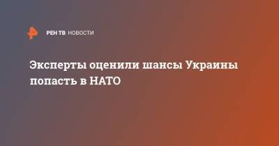 Дмитрий Суслов - Эксперты оценили шансы Украины попасть в НАТО - ren.tv - Москва - Украина - Киев - Грузия