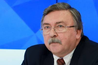 Эрик Мамер - Постпред России рассказал об отношении иностранцев к российским вакцинам - lenta.ru - Вена