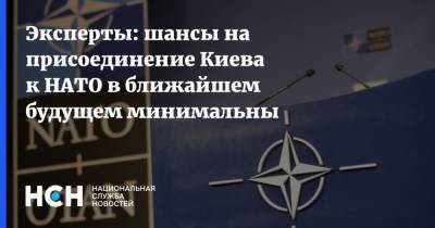 Дмитрий Суслов - Эксперты: шансы на присоединение Киева к НАТО в ближайшем будущем минимальны - nsn.fm - Украина - Киев - Грузия
