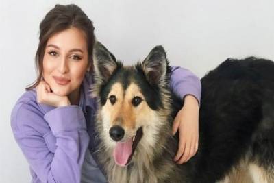 Бездомные томские собаки снялись в профессиональной фотосессии с собаками - tomsk.mk.ru - Москва - Томск