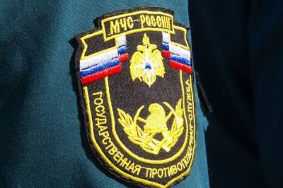 Тульские спасатели напоминают жителям о правилах безопасности во время порывистого ветра - tula.mk.ru - Тула - Тульская обл.