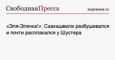 Михаил Саакашвили - «Эля-Элечка!»: Саакашвили разбушевался и почти расплакался у Шустера - svpressa.ru - Грузия - Одесская обл.